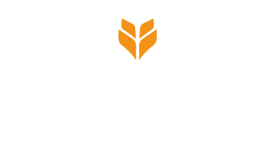 Fideos Primavera